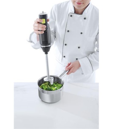 #1422 PONORNY MIXER 250W  H222157