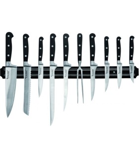 #1730 LISTA MAGNETICKA 55CM