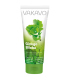 #2027 VAKAVO GINKGO