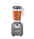 #0202 Hamilton  blender-hbf 600