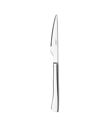 #2490 NÔŽ NA STEAK MONOBLOK - PERFEKT
