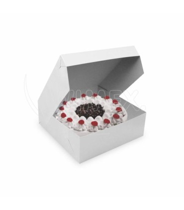#2547 TORTOVA KRABICA 20X20X10CM