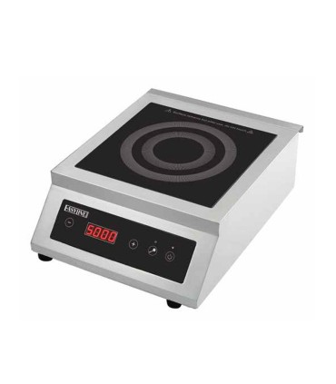 #3807 Indukčný varič EASYLINE 5000 W