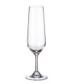 POHÁR NA ŠAMPANSKÉ FLÉTNA 200ML APUS