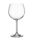 #0384 COLIBRI GASTRO 570