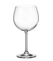POHÁR NA ČERVENÉ VÍNO 570ML COLIBRI/GASTRO