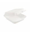 Menu box (cukrová trstina) nedelený 222 x 200 x 67 mm 1100ml [50 ks
