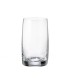 #0472 pavo-250ml-600x530