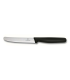 #6067 Victorinox 5.1303