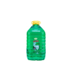 SAPONAT NA RIAD ANKA 5L