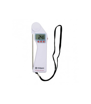 #8293 Teplomer 620011