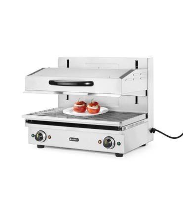 #8691 SAlamander 600 Hendi3