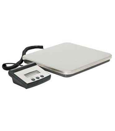 #0304 DIGITALNA VAHA 100KG_50G  H580301
