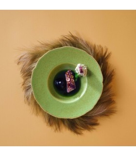 #10073 coupe-plate-edenic-270mm-green-3