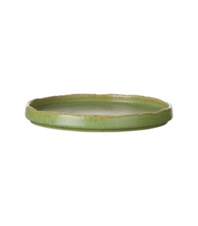#10070 edenic-flat-plate-270mm-green-1