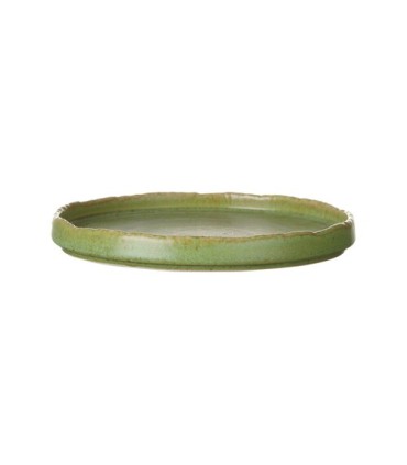 #10070 edenic-flat-plate-270mm-green-1