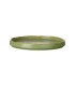 #10070 edenic-flat-plate-270mm-green-1